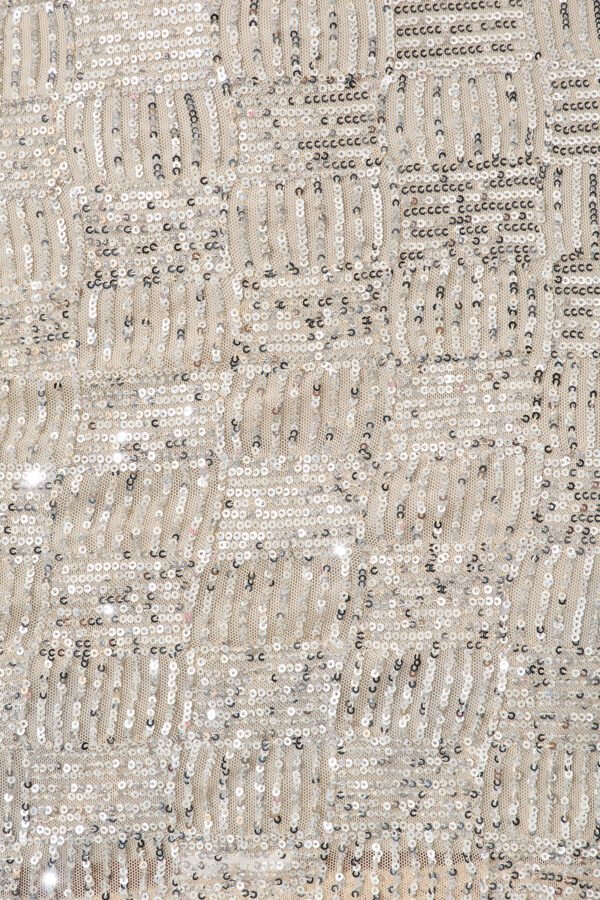 Skirt In Silver Sequin - Image 6