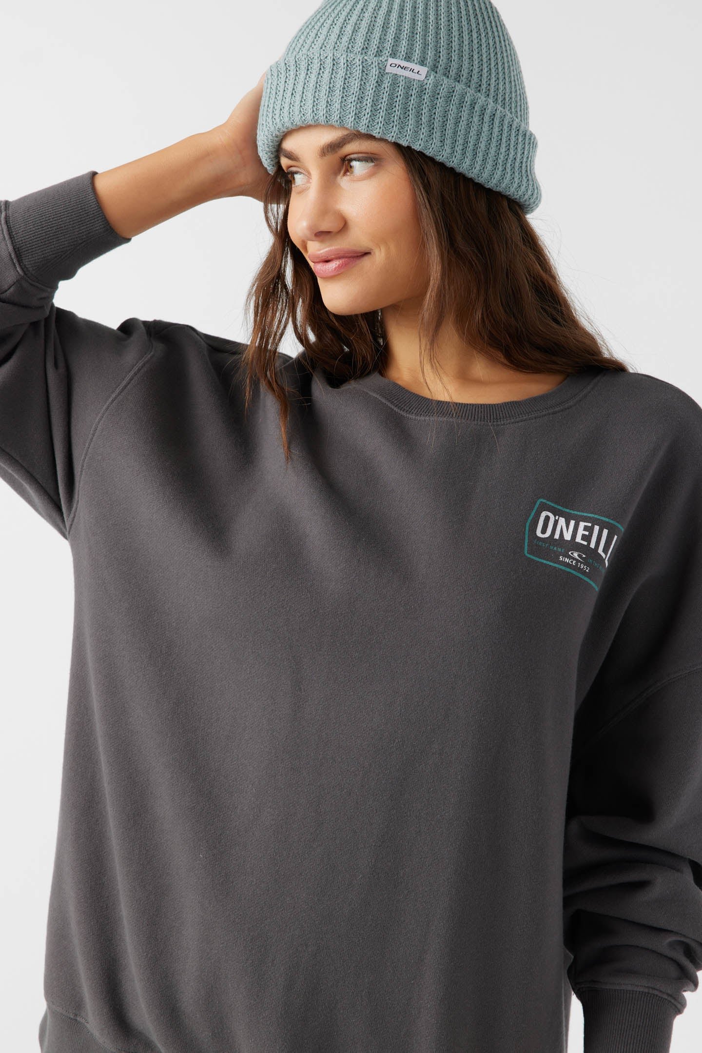 CREWNECK OVERSIZED-FIT FLEECE PULLOVER - Image 6